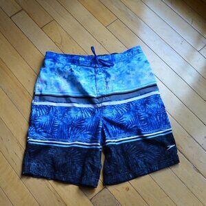 Speedo Men’s Leaf Tie Dye Print Stripes Multi-Colored Mesh Lined Swim Trunks L